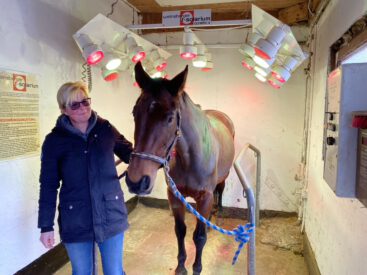 306B5F9D-AF51-4606-9E2C-DCA1BB1B911D_1_105_c