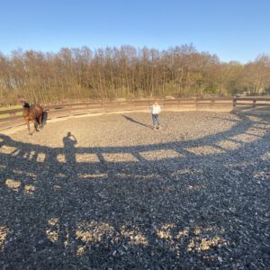 Round Pen - Longierzirkel Pferdehof Pensionspferdebetrieb Less