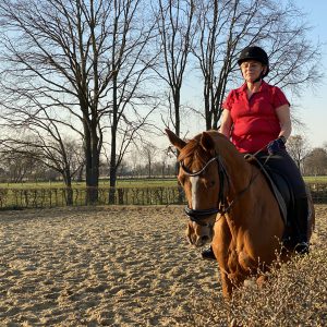 Dressurplatz auf dem Pferdehof Pensionspferdebetrieb Less bei Hannover
