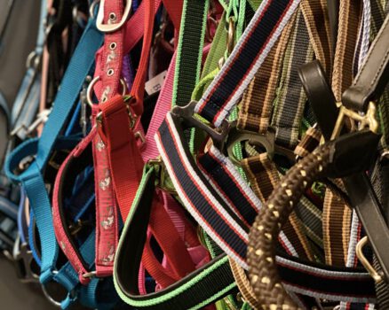 reitsportgeschäft beim Pensionspferdebetrieb Less