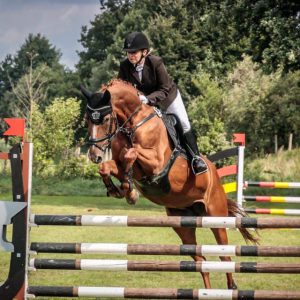 Reitturnier auf dem Springplatz beim Reiterhof Pensionspferdebetrieb Less